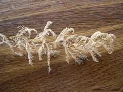 Neteldieren
