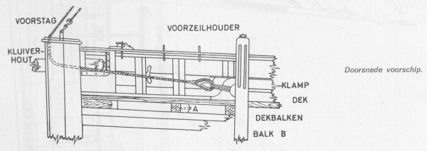 Desnerck (1976, fig. 180)