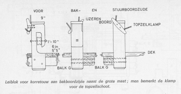 Desnerck (1976, fig. 195)