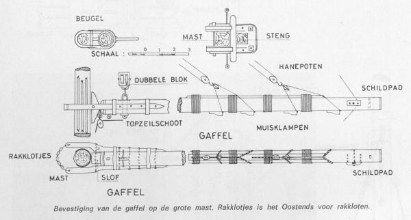 Desnerck (1976, fig. 205)