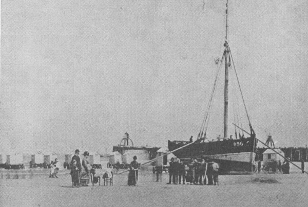 Desnerck (1976, fig. 221)