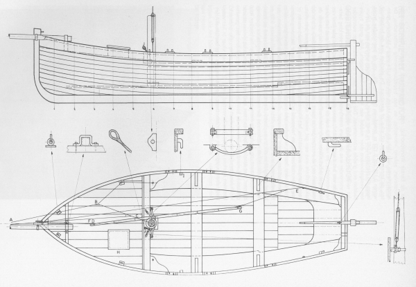 Desnerck (1976, fig. 224)