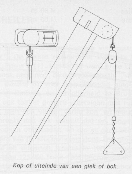 Desnerck (1976, fig. 244)