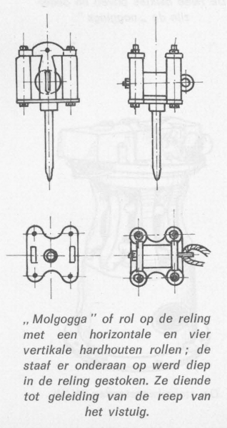 Desnerck (1976, fig. 269)