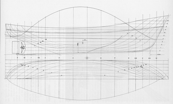 Desnerck (1976, fig. 289)