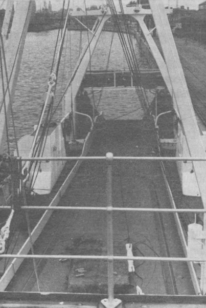 Desnerck (1976, fig. 299)