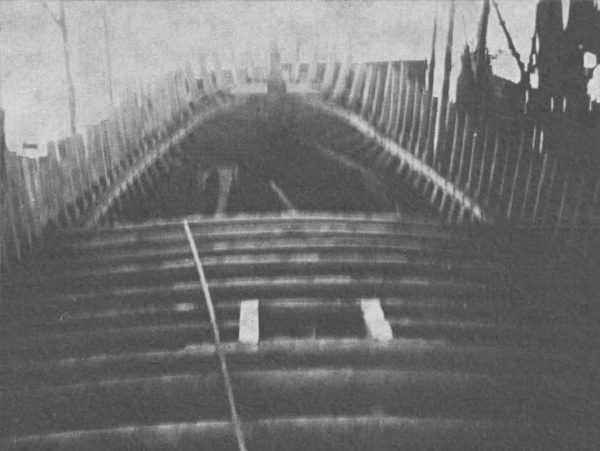 Desnerck (1976, fig. 398)