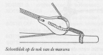 Desnerck (1976, fig. 486)