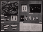 Gilson, G. (1914). Le Musée Royal d'Histoire Naturelle moderne, sa mission, son organisation, ses droits. Mémoires du Musée Royal d'Histoire Naturelle de Belgique = Verhandelingen van het Koninklijk Natuurhistorisch Museum van België, VII(25