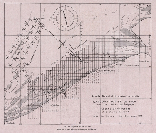 Gilson (1914, fig. 133)