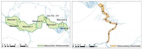 Links: Westerschelde en onderverdeling in 6 macrocellen, mesocel 2 en cel 310-311. Rechts: Beneden-Zeeschelde en onderverdeling in 9 rekenvakken.
