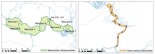 Links: Westerschelde en onderverdeling in 6 macrocellen, mesocel 2 en cel 310-311. Rechts: Beneden-Zeeschelde en onderverdeling in 9 rekenvakken. Links: Westerschelde en onderverdeling in 6 macrocellen, mesocel 2 en cel 310-311. Rechts: Beneden-Zeeschelde en onderverdeling in 9 rekenvakken.