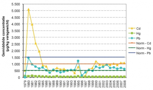 Jaarlijkse gemiddelde concentratie (µg/kg versgewicht) van de zware metalen: cadmium, kwik en lood in mossel uit de Westerschelde. Jaarlijkse gemiddelde concentratie (µg/kg versgewicht) van de zware metalen: cadmium, kwik en lood in mossel uit de Westerschelde.