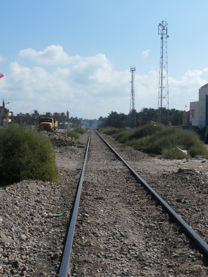 Nile delta field trip