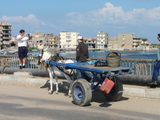 Nile delta field trip, author: Debergh, Heidi