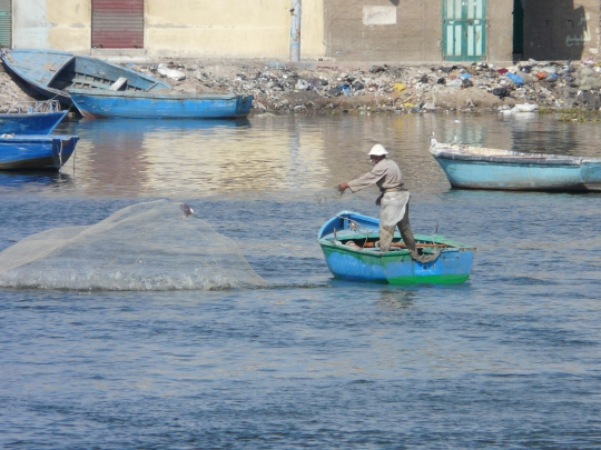 Nile delta field trip