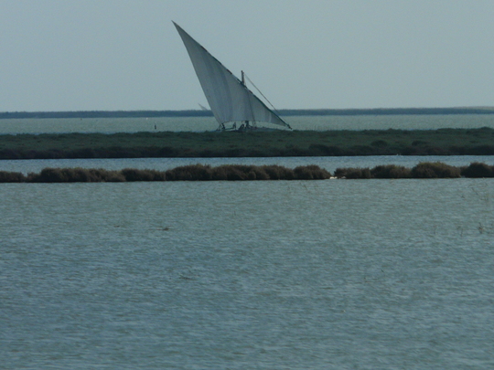 Nile delta field trip