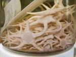 Brittle stars