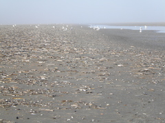 SWG sfeerbeelden