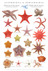 St. Lawrence sea star poster