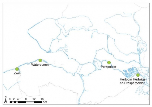 Locatie van de projectgebieden Zwin, Hedwige-Prosperpolder, Waterdunen en Perkpolder, die deel uitmaken van het Natuurpakket Westerschelde.