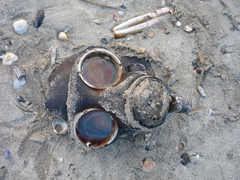 SWG Rariteitenkabinet