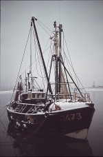 O.473 Kimberly (Bouwjaar 1955)