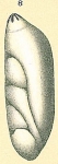 Astacolus pacificus