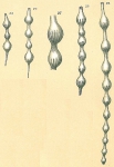 Grigelis semirugosa