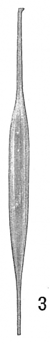 Lagena distoma Lagena distoma