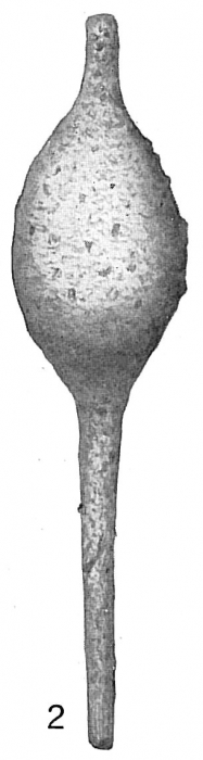 Reophax distans Reophax distans