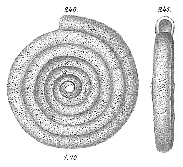 Ammodiscus tenuis Ammodiscus tenuis