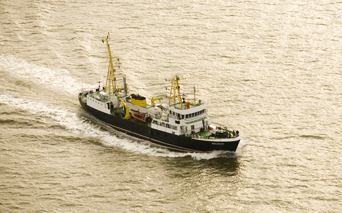 R/V Zeeleeuw