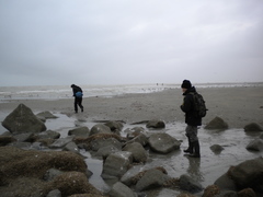20110123_Ster der zee