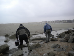foto 37936