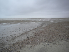 foto 37940