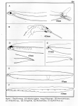Drawings