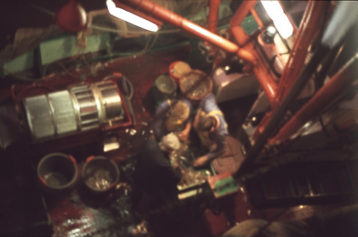 koken van de garnaalvangst aan boord van de N.782 Nancy