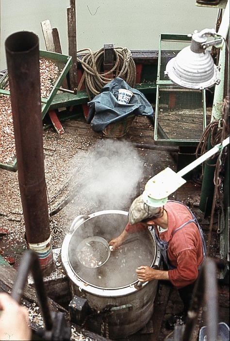 Koken van de garnaal - N.106 De Zeemanshoop