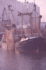 Z.196 Zeeduivel (Bouwjaar 1973)