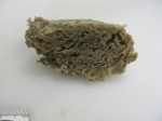 Sponges