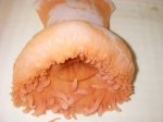 Cnidarians