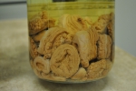 Cnidarians