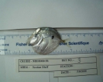 Selene setapinnis