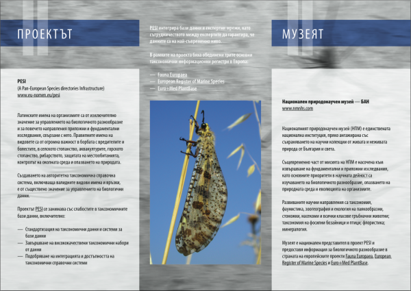 Leaflet PESI Seminar II