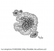 Ascomycota