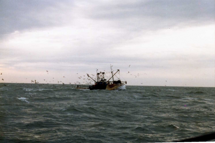 Z.445 Marina (Bouwjaar 1954)