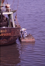 Work on board & shore