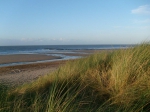 Dunes & Beach