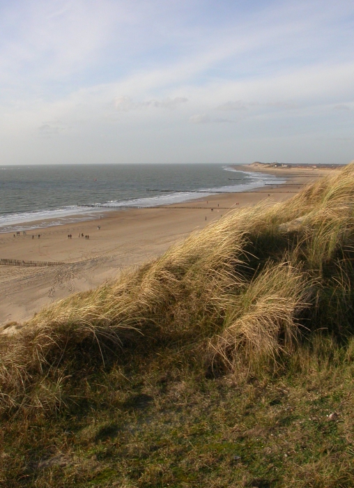 Dune & Beach Domburg